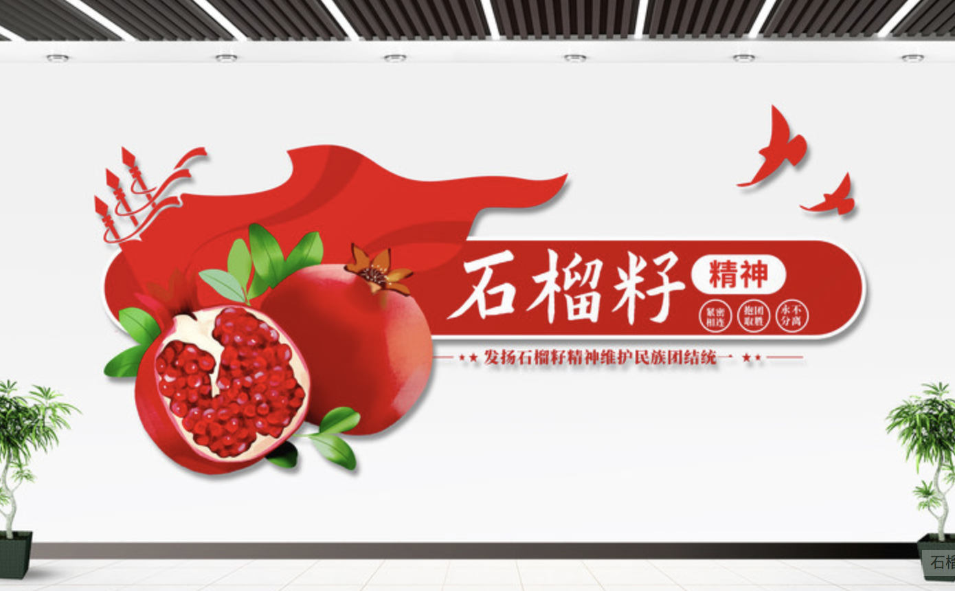 石榴籽精神民族團(tuán)結(jié)黨建標(biāo)語文化墻(圖2) 石榴籽精神文化墻