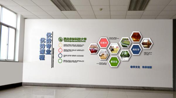 一般企業(yè)文化墻的尺寸是多大?(圖3) 大學(xué)教學(xué)企業(yè)文化墻設(shè)計